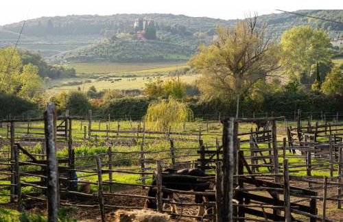 Appartamento Elisa, immerso nella natura e vicino a Firenze - Foto 36