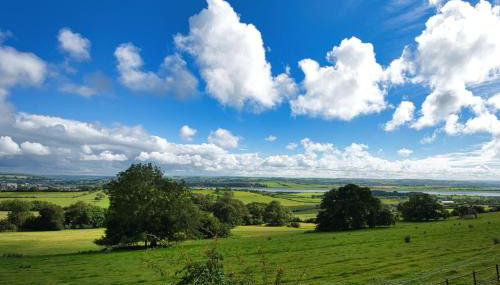 Carriage House - Foto 3