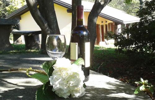 Casa Luciana - Foto 8