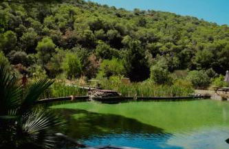 L'Etang Des Cigales - Foto 52