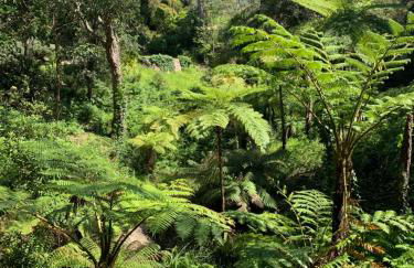 Appartement - Résidence Le Paradou - Foto 38