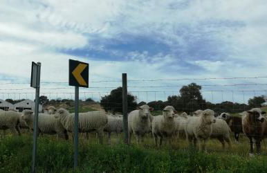 Arronches Villa - Photo 45