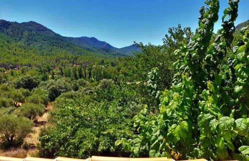 Alojamientos Loma de Mariangela - Foto 20