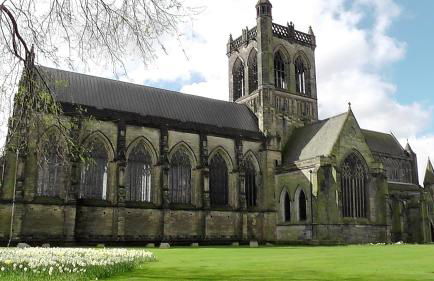 Mycosy 605 - Foto 23