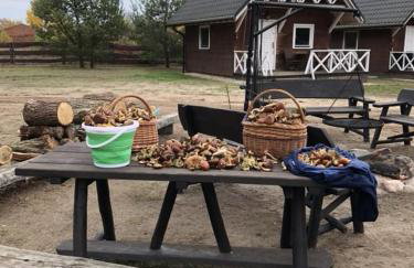 Agroturystyka Stajnia Zwierzyniec - Foto 8