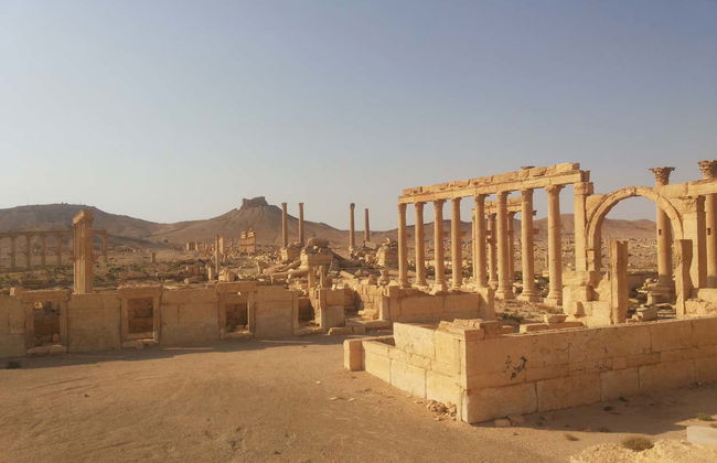 Circuit de 5 jours à Damas, Palmyre et au krac des Chevaliers - Foto 2