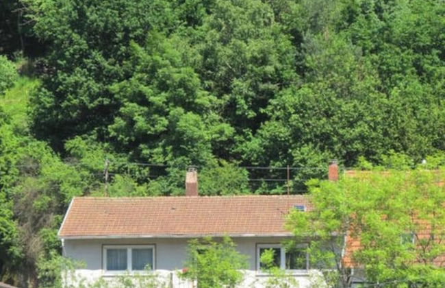 Chez Emil and Isabelle - Foto 1