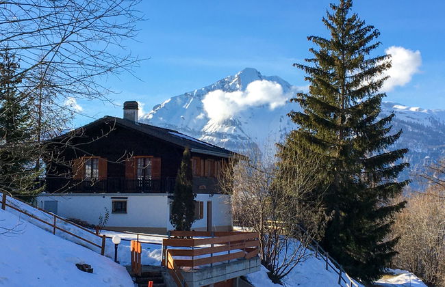 Chalet Chante Neige - Foto 2