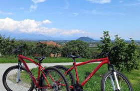 Natura e relax - Foto 25