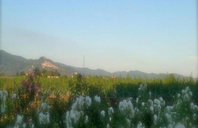 Holiday Home in Cortona - Foto 29