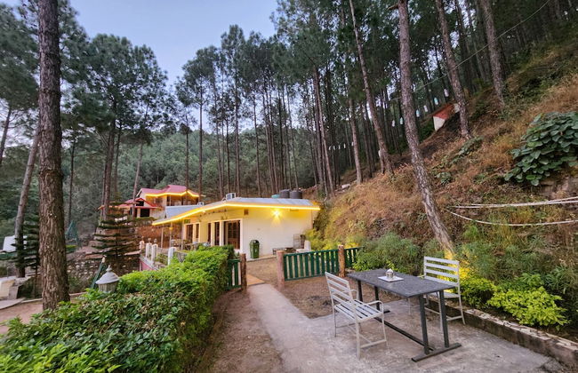 Pine Valley Resort - PVR Kasauli - Foto 6