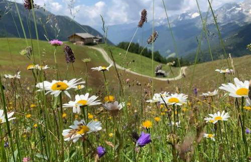 Appartament Anna 4 - Foto 1