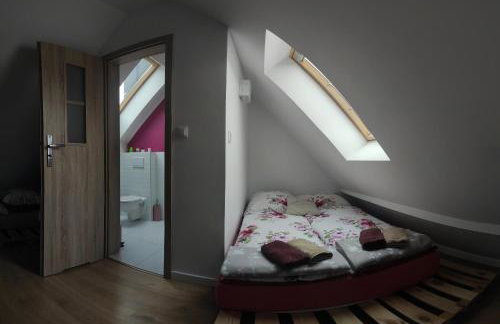 Agroturystyka Blicharzówka Noclegi - Foto 44