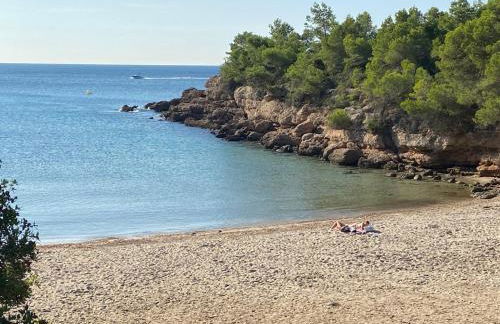 La Mandioca - Foto 23