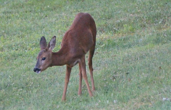 Estate in Dordogne Near Sites - Photo 35