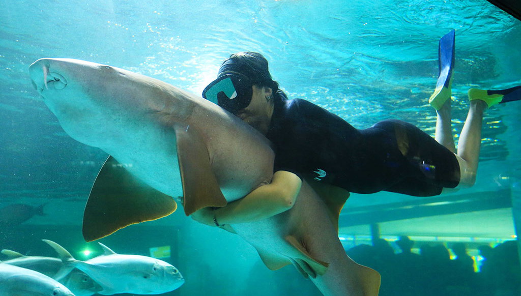 Descubre Mazatlán - Foto 1