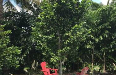 Renovated Grove Bungalow -near Coconut Grove - Foto 23