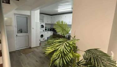 Alvarenga House - Photo 2