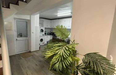 Alvarenga House - Photo 2