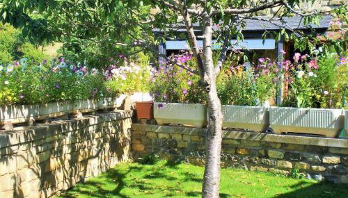 La Casa De Luis - Foto 3