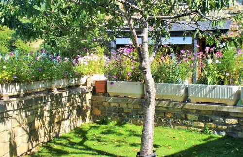 La Casa De Luis - Foto 7