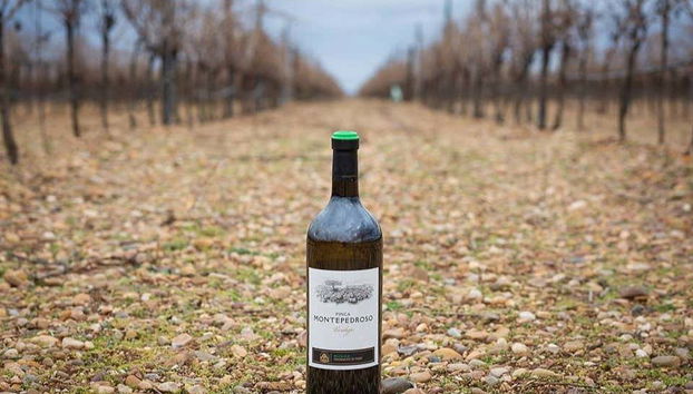 A bottle of wine at Finca Montepedroso