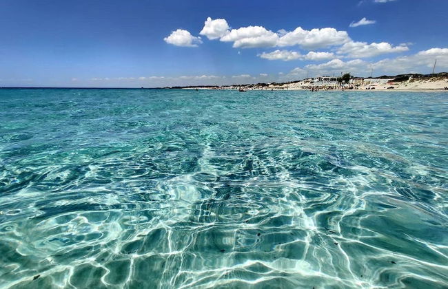 Masseria Belvedere - Photo 23