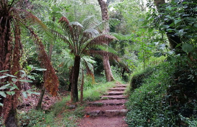Bairrada Wine Region Tour - Photo 7