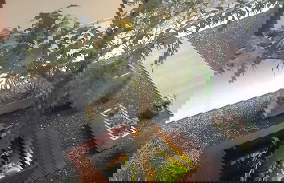 Start Villa Morra Rent Apartments - Photo 68