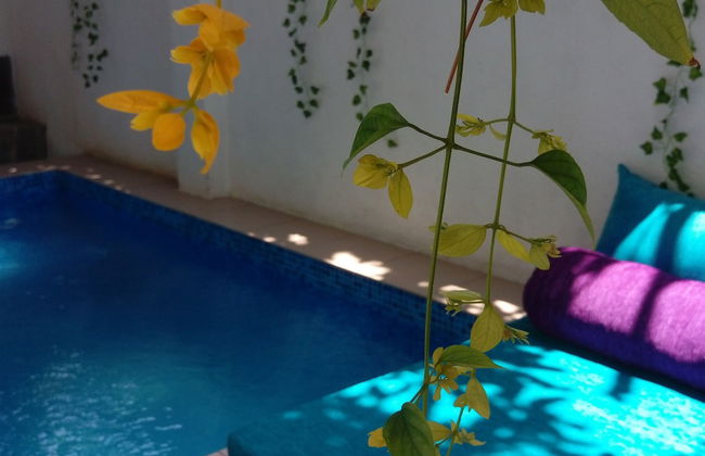 Villa Seven Panadura - Photo 1