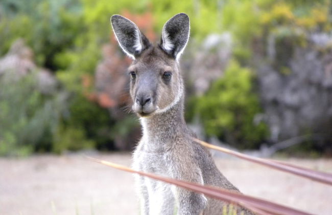 Marima Cottages - Photo 26