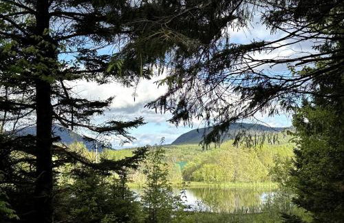 Cozy Off-Grid Cabin with Breathtaking Serene Views for a Peaceful Getaway Surrounded by Nature in Barton, Vermont - Foto 9