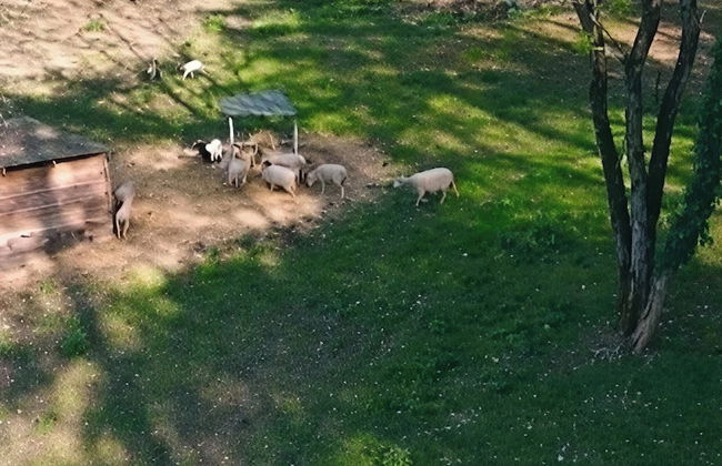 Les gites de Pétrocoriis - Boulazac Périgueux - Foto 97