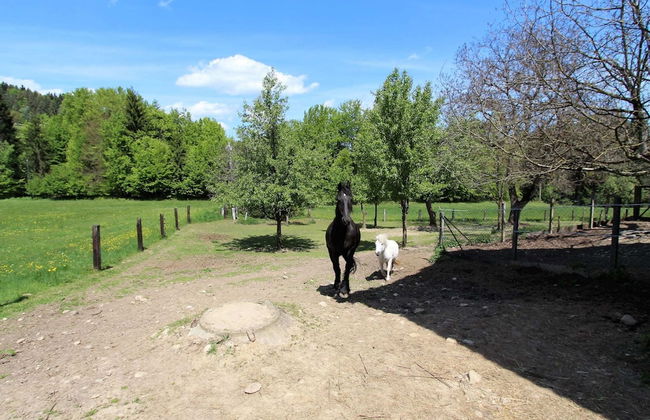 Apartment in Kottmansdorf Near Worthersee - Photo 40