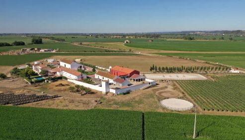 Quinta da Gafaria - Foto 4