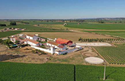 Quinta da Gafaria - Foto 4