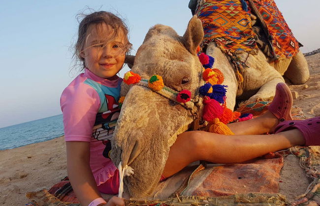 Desert Camel Ride in Marsa Alam - Photo 3