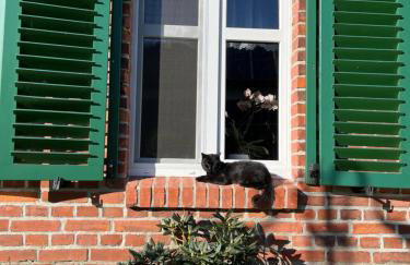 Tawerna Pod Kotwicą pokoje i domy wakacyjne - Foto 28