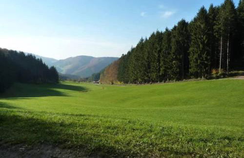 Comfortable Holiday Home in a Beautiful Location - Foto 95