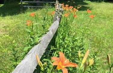 1894 Catskills Farmhouse Retreat - Foto 33