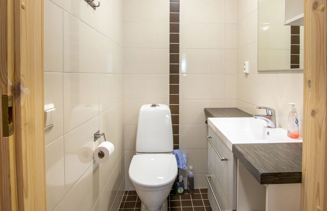 Päivänsäde 8 lapinkulta - Photo 32