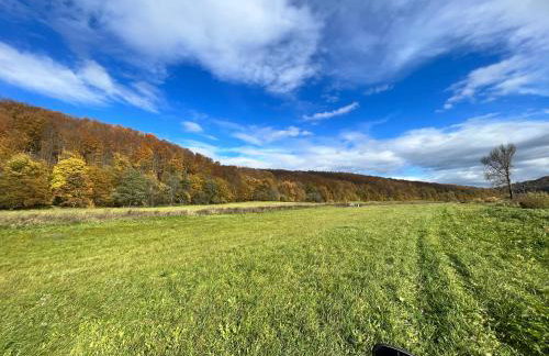 Domki nad Stawem Uherce - Foto 68