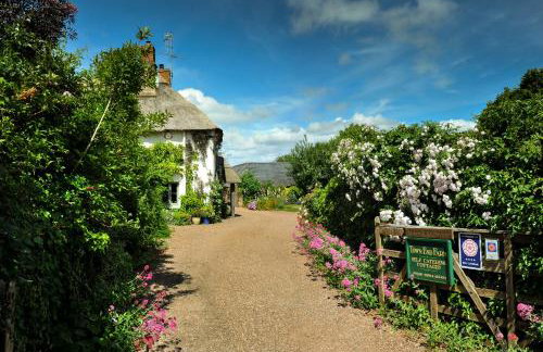 Town End Farm Cottages - Foto 1
