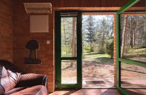 Raj na Kaszubach - Pałubicka Bór - Domy na Wynajem - Foto 34