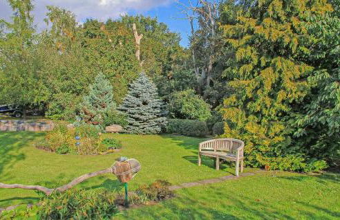 Ferienwohnung Klink - Foto 8