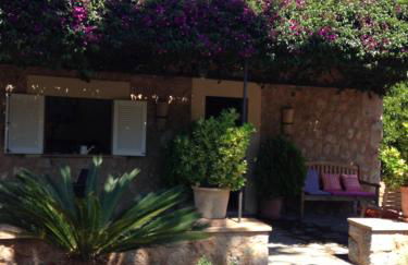 Ses llimoneres - Foto 28