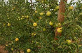 Quinta Do Acipreste (Antiga Quinta Da Torre) - Photo 21