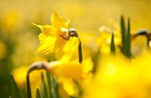 Serene Retreat in Chapel Stile by LetMeStay - Foto 34