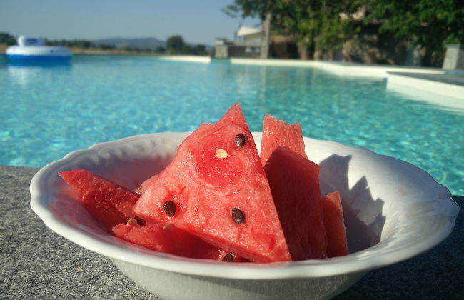 Casale dei Gelsi Bed & Breakfast - Foto 48