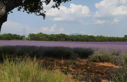 Les Gîtes De La Chérine - Foto 39